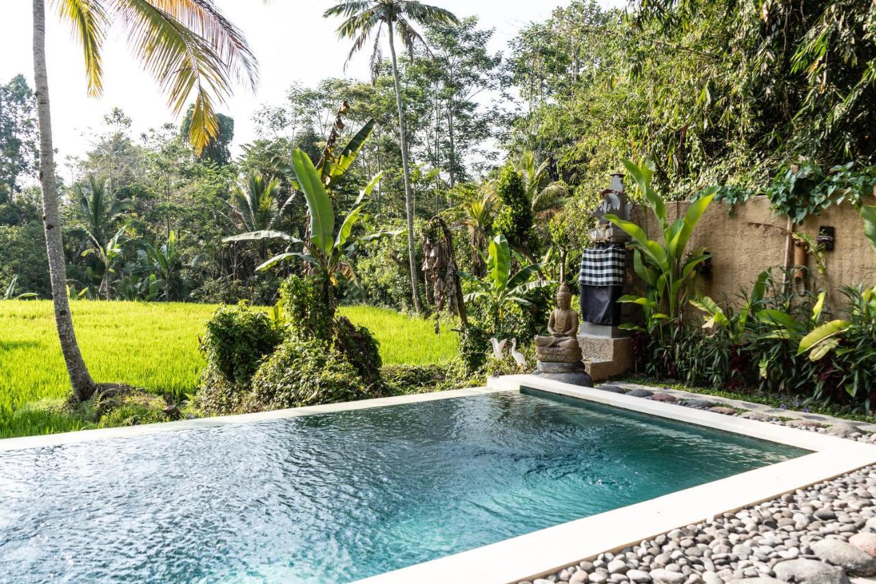 Bali Bamboo Jungle Huts And Hostel Tampaksiring Exterior photo