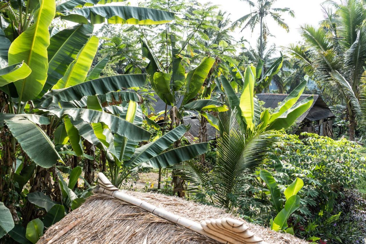 Bali Bamboo Jungle Huts And Hostel Tampaksiring Exterior photo