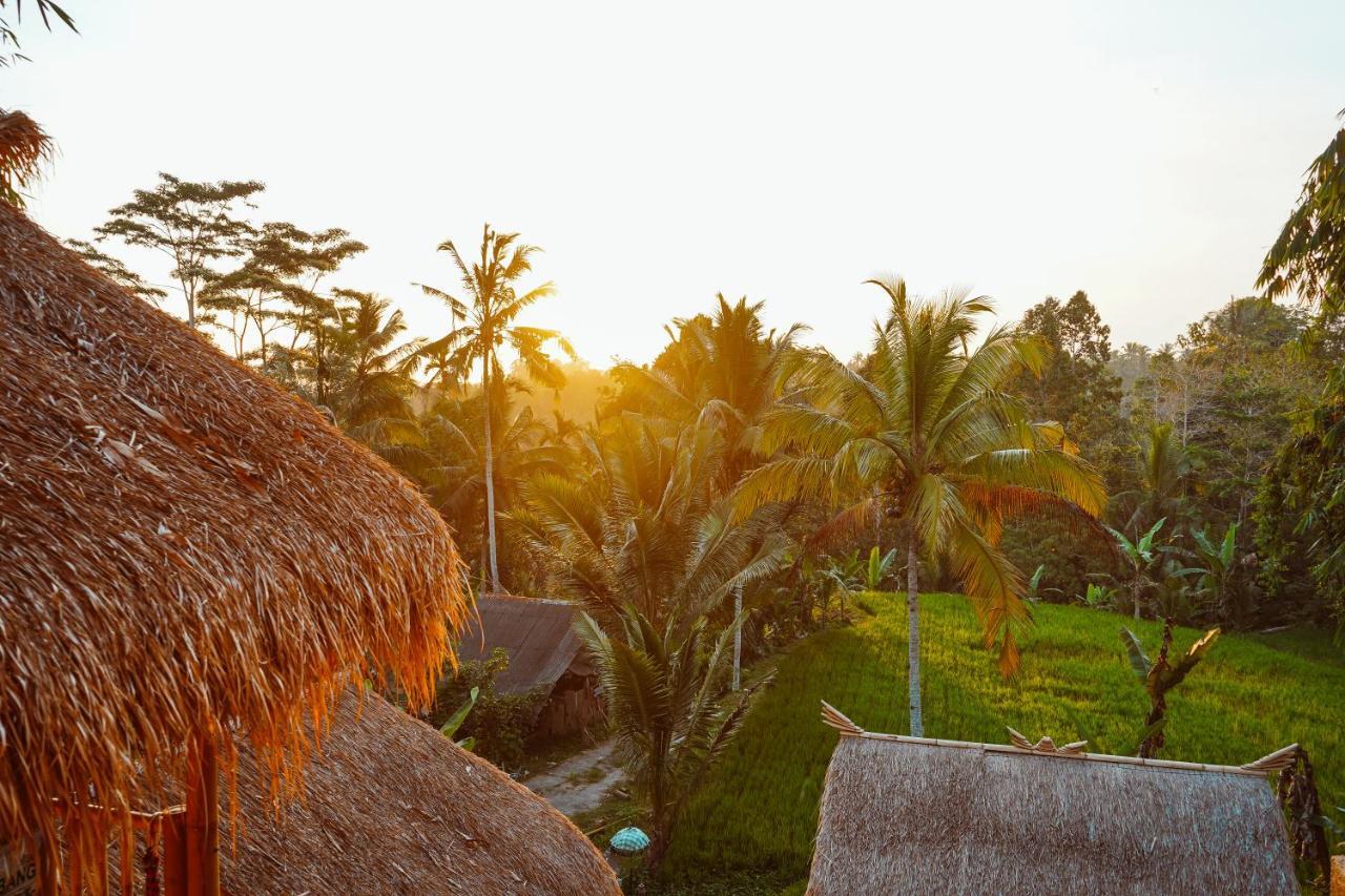 Bali Bamboo Jungle Huts And Hostel Tampaksiring Exterior photo